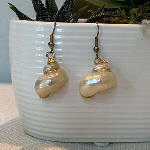 Real Shell Earrings